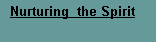 Text Box:   Nurturing  the Spirit 