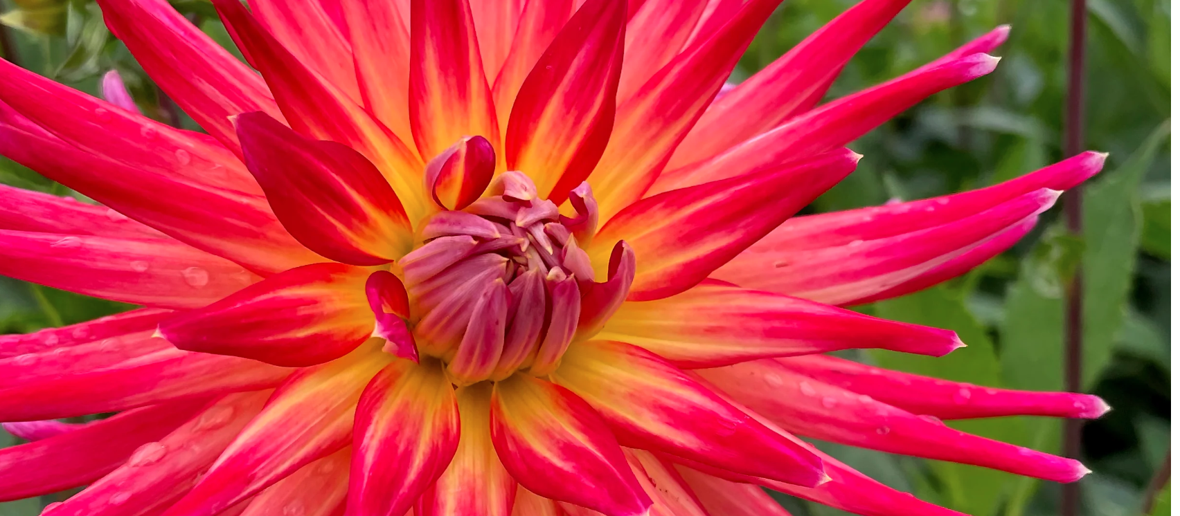 Mediation Conflict Resolution Conflict Management Dispute Resolution Restorative Practice Workplace Mediation Family Mediation Professional Mediation Services Mediation Skills Training Conflict Coaching Communication Skills Difficult Conversations Negotiation Skills Emotional Intelligence Leadership & Conflict Workplace Communication