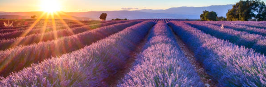 Mediation Conflict Resolution Conflict Management Dispute Resolution Restorative Practice Workplace Mediation Family Mediation Professional Mediation Services Mediation Skills Training Conflict Coaching Communication Skills Difficult Conversations Negotiation Skills Emotional Intelligence Leadership & Conflict Workplace Communication